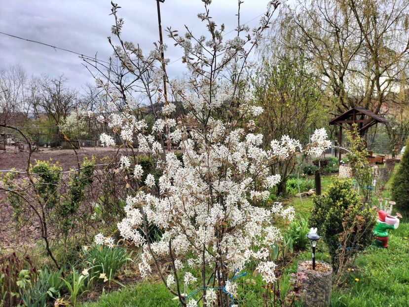 IMG20230417171029 - Primăvara 2023