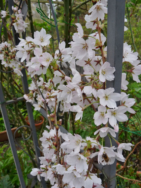  - 2023 - 01 - Primavara