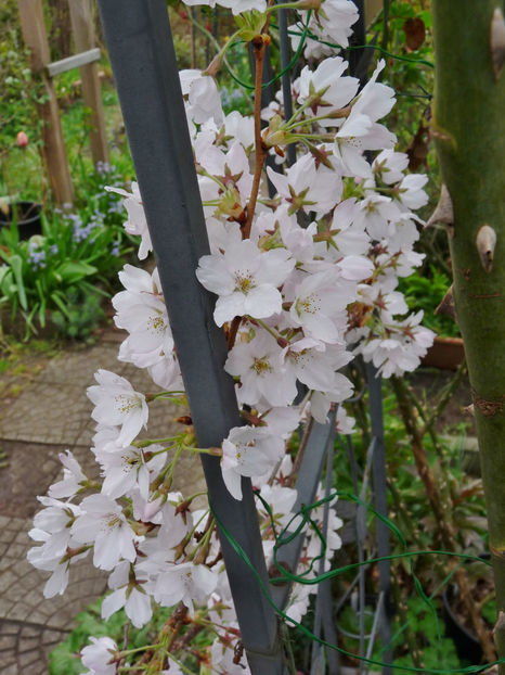  - 2023 - 01 - Primavara