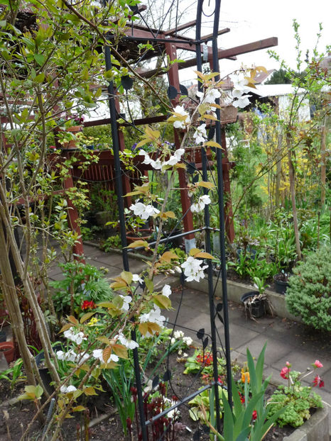  - 2023 - 01 - Primavara