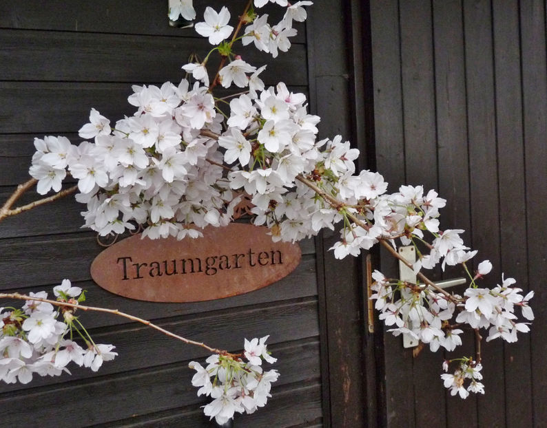  - 2023 - 01 - Primavara