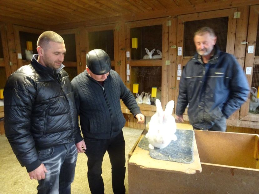  - vizita crescatoriilor de iepuri oi si gaini din zona -sucevei-vaslui