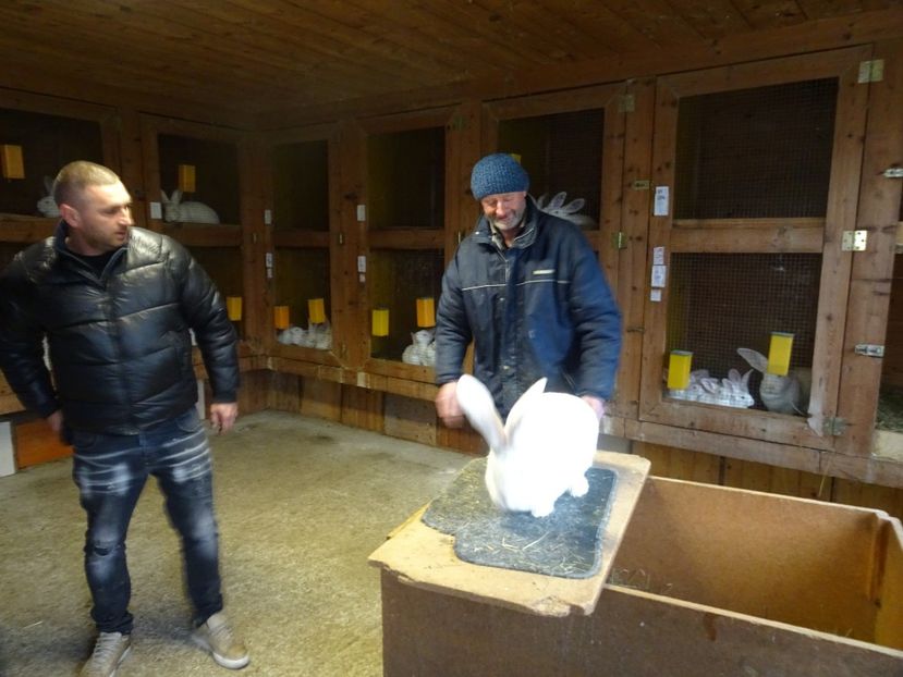  - vizita crescatoriilor de iepuri oi si gaini din zona -sucevei-vaslui