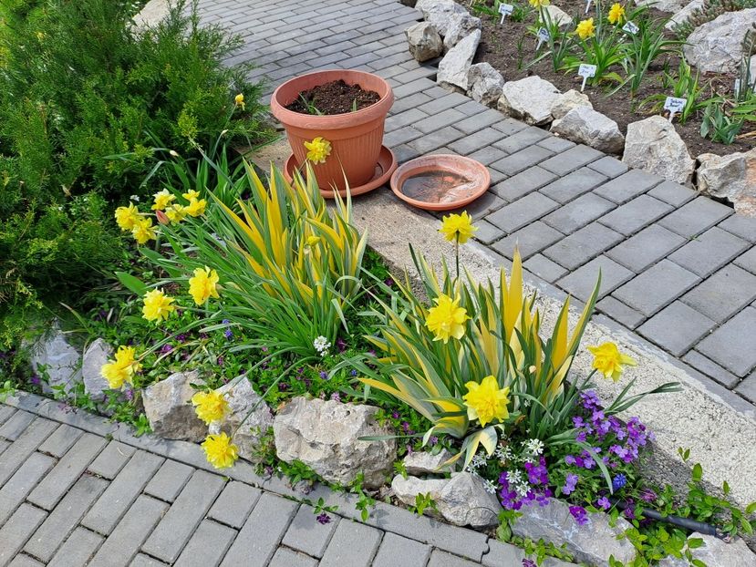  - Gradina 2023
