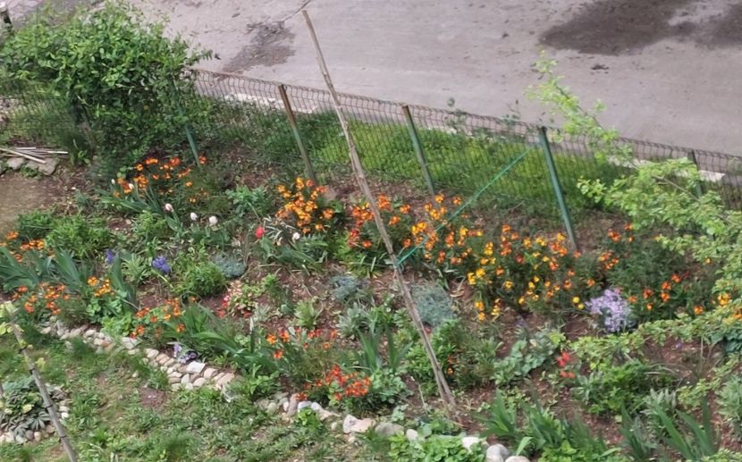  - 2023 - Grădinița de la bloc