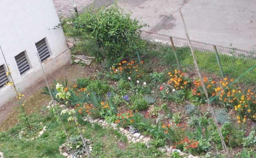  - 2023 - Grădinița de la bloc