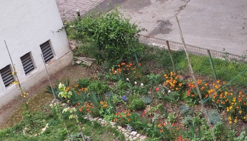  - 2023 - Grădinița de la bloc