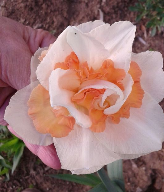 Replete - 2023 - Grădinița de la bloc