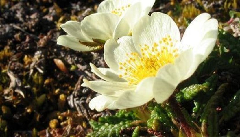  - 2023 - Grădinița de la bloc