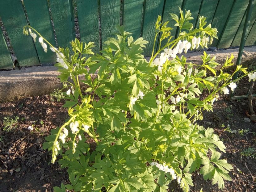  - 01 Primăvara 2023