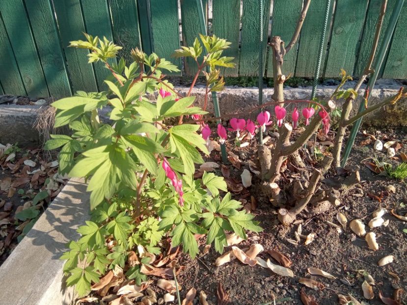  - 01 Primăvara 2023