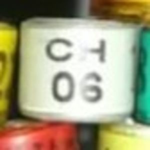 2006-Elvetia - Elvetia