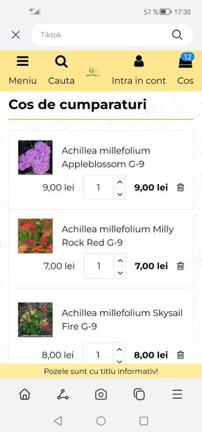 Screenshot_20230403_173045_com.huawei.hwsearch - Achiziții 2023