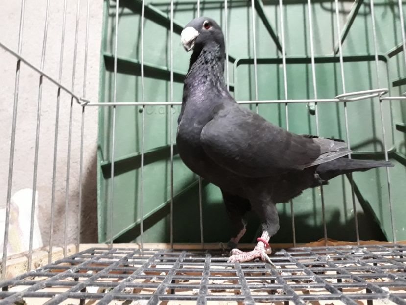 20230314_201252[1] - Amintiri