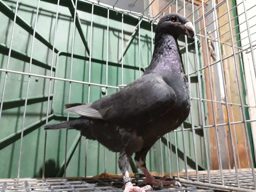 20230314_201623[1] - Amintiri