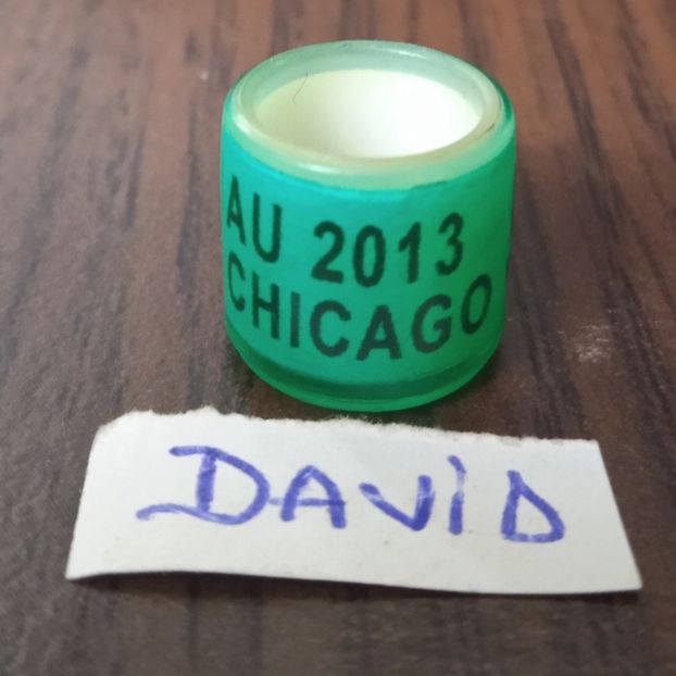 2013 -America - America-AU-IPB