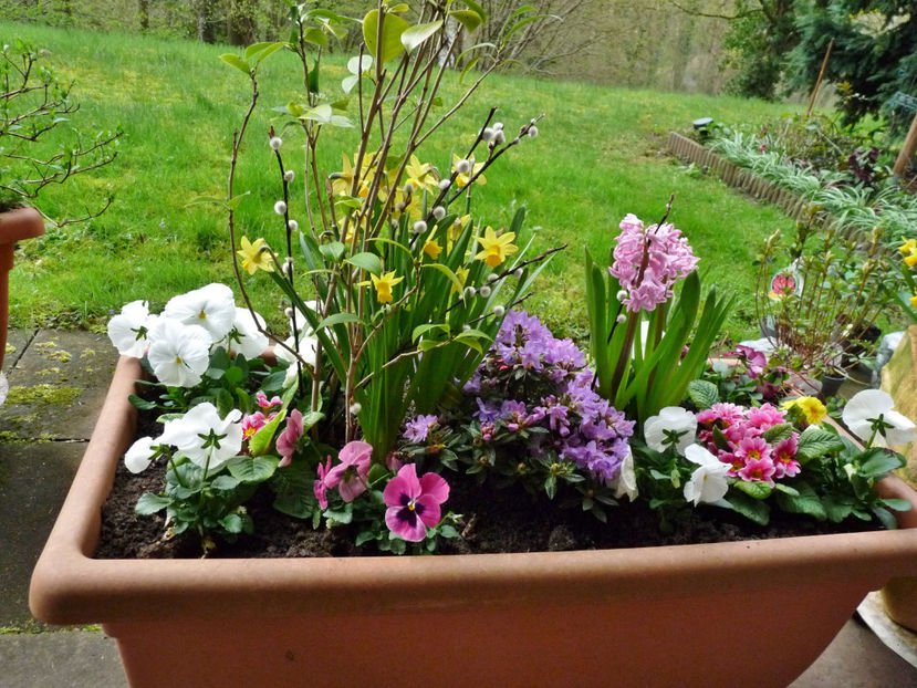  - 2023 - 01 - Primavara