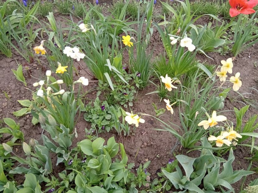  - 01 Primăvara 2023