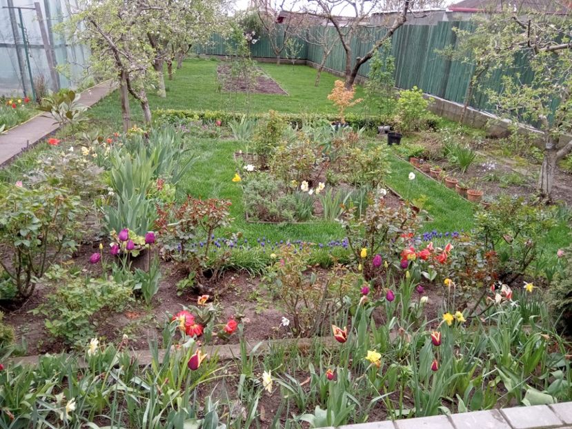  - 01 Primăvara 2023