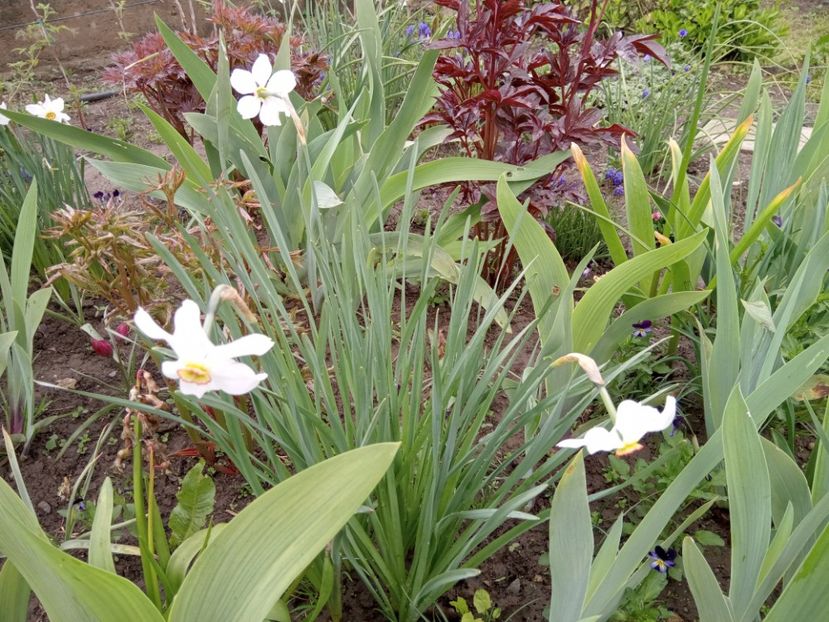  - 01 Primăvara 2023