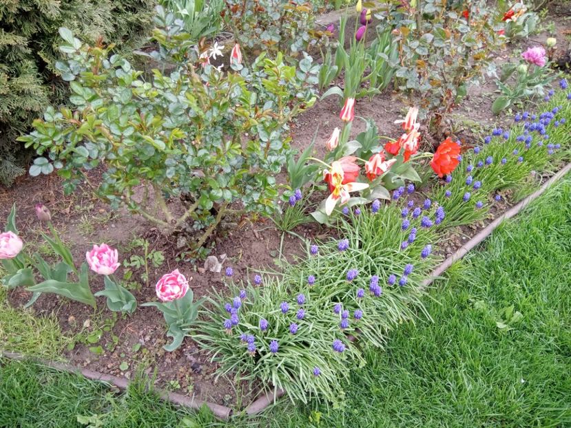  - 01 Primăvara 2023