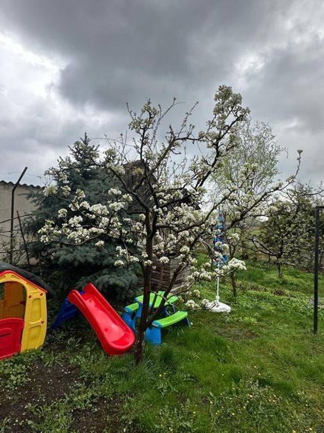 WhatsApp Image 2023-04-20 at 22.16.52 (1) - 0 01 2023 Grd Roman 2023 04 20