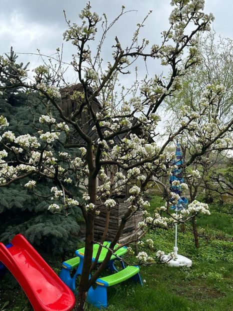 WhatsApp Image 2023-04-20 at 22.16.52 (2) - 0 01 2023 Grd Roman 2023 04 20