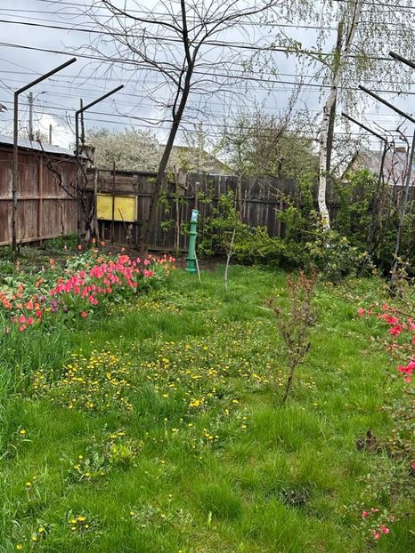 WhatsApp Image 2023-04-20 at 22.16.52 (13) - 0 01 2023 Grd Roman 2023 04 20