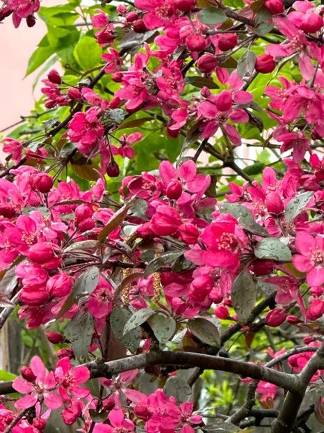 WhatsApp Image 2023-04-20 at 22.16.52 (17) - 0 01 2023 Grd Roman 2023 04 20