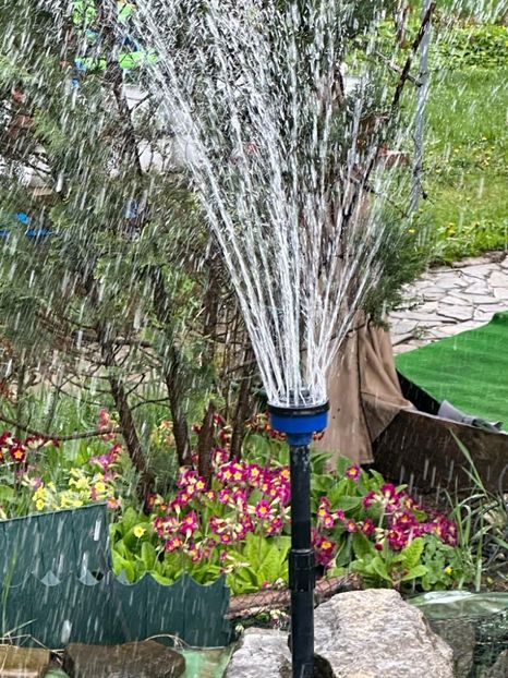 WhatsApp Image 2023-04-20 at 22.16.52 (18) - 0 01 2023 Grd Roman 2023 04 20