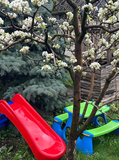 WhatsApp Image 2023-04-20 at 22.16.52 - 0 01 2023 Grd Roman 2023 04 20