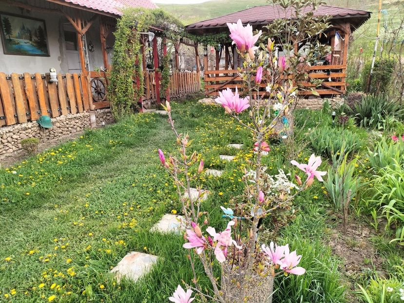 IMG20230420145813 - Primăvara 2023