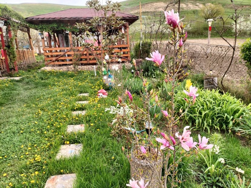 IMG20230420145802 - Primăvara 2023