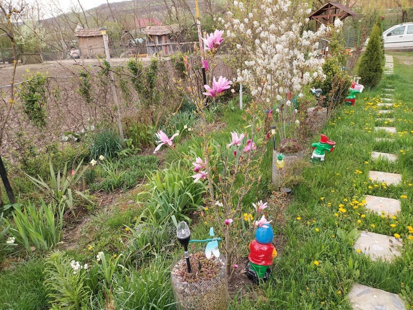 IMG20230420145730 - Primăvara 2023