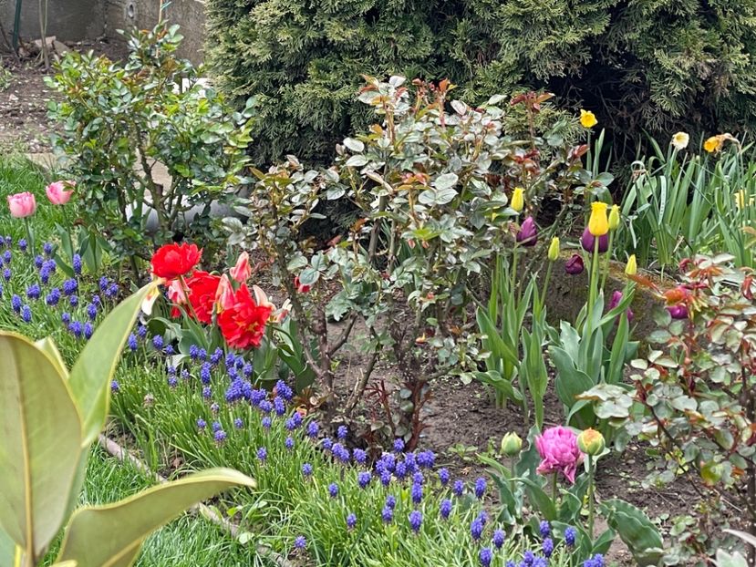 F9D209BF-4B92-45E6-B054-5F199E532766 - 01 Primăvara 2023