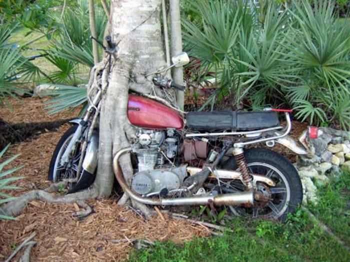 Lost Motorbike Found - diverse - curiozitati
