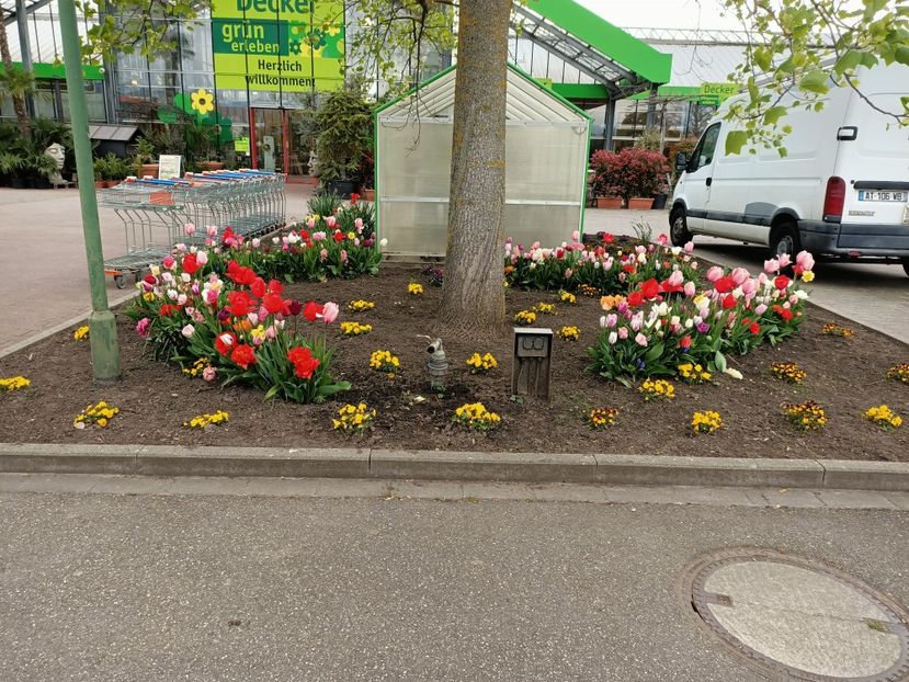 Img.2023.04.21 - Magazinul 2