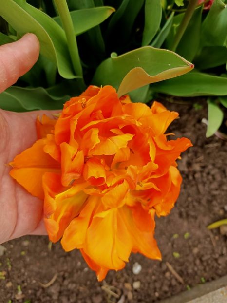 Img.2023.04.21 - Magazinul 2