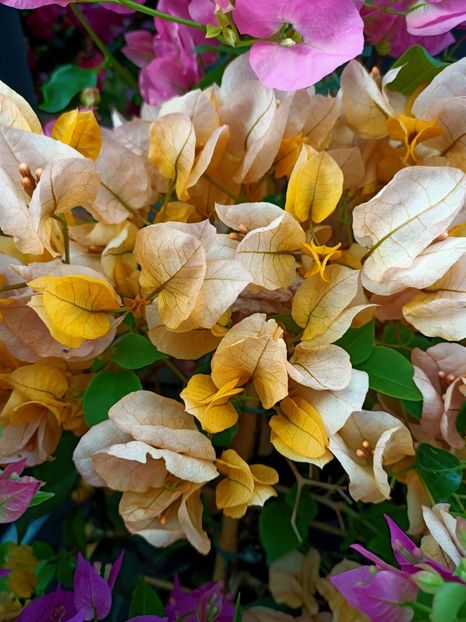 Img.2023.04.21 - Magazinul 2