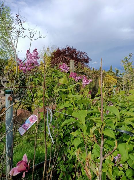 Img.2023.04.21 - Magazinul 2