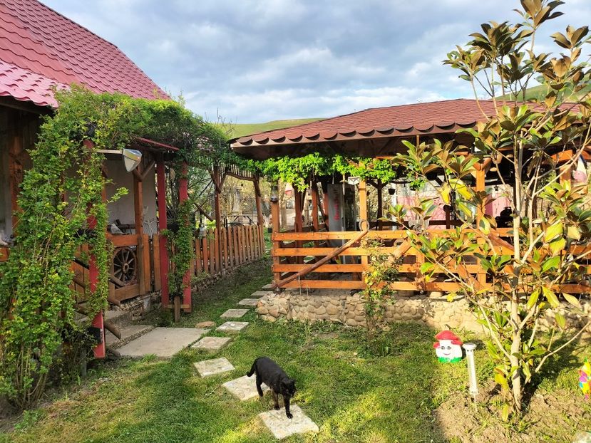 IMG20230421182556 - Primăvara 2023