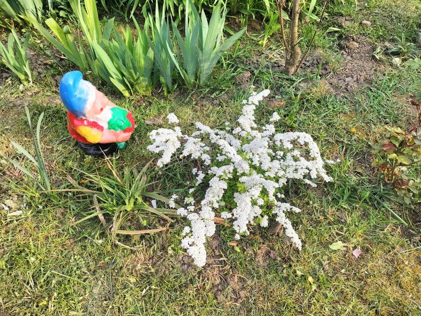 IMG20230421182533 - Primăvara 2023