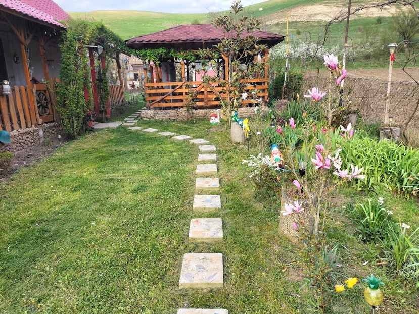 IMG20230421182521 - Primăvara 2023