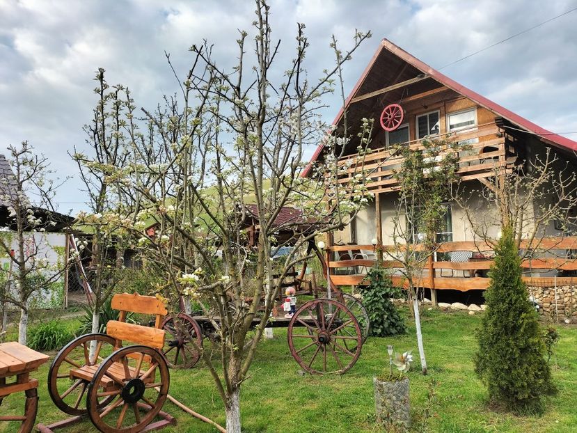 IMG20230421182440 - Primăvara 2023