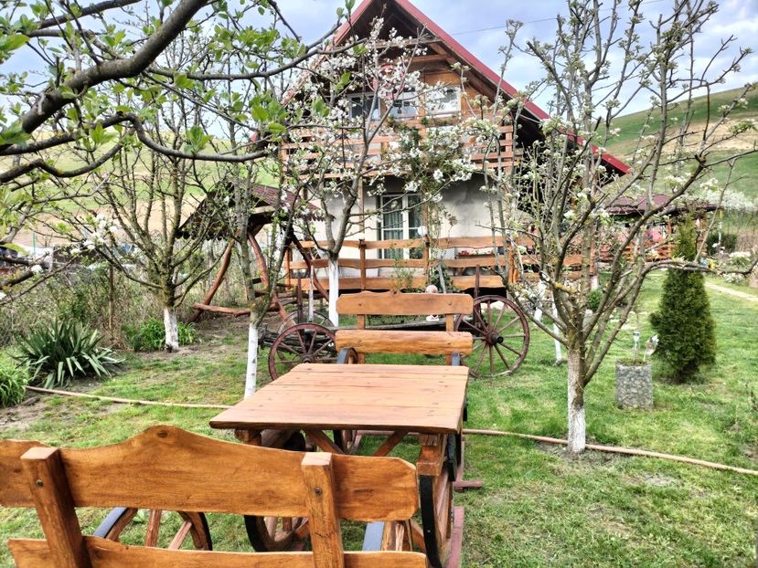 IMG20230421182428 - Primăvara 2023