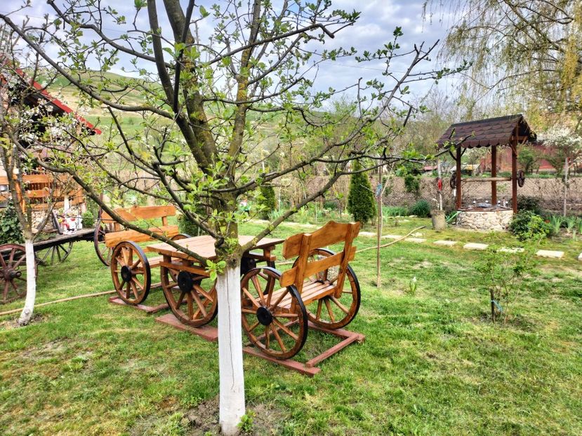 IMG20230421182417 - Primăvara 2023