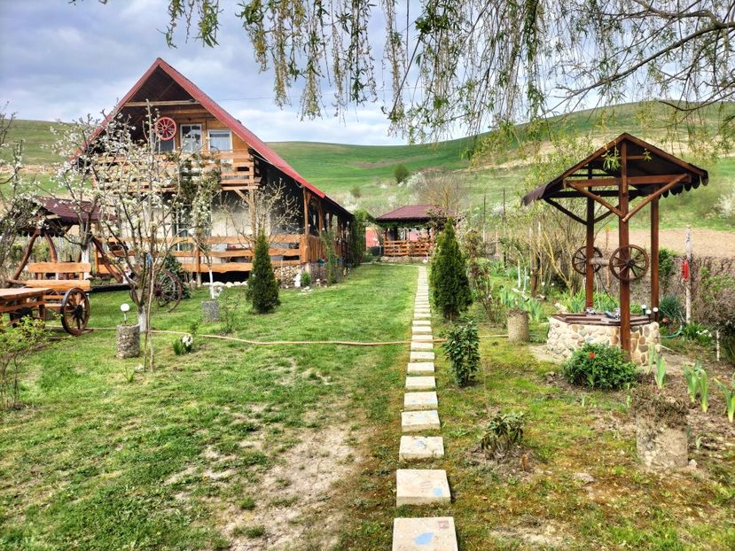 IMG20230421182205 - Primăvara 2023