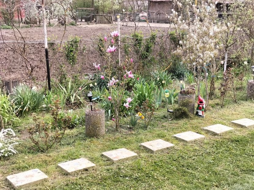 IMG20230421181959 - Primăvara 2023