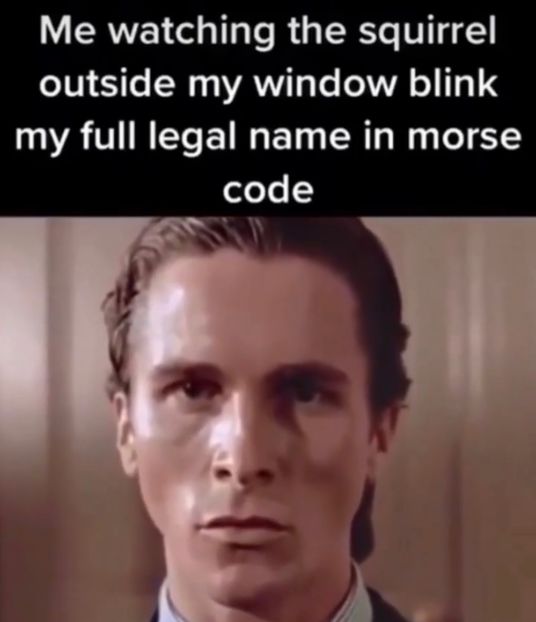 my honest reaction - Collection of Tintypes