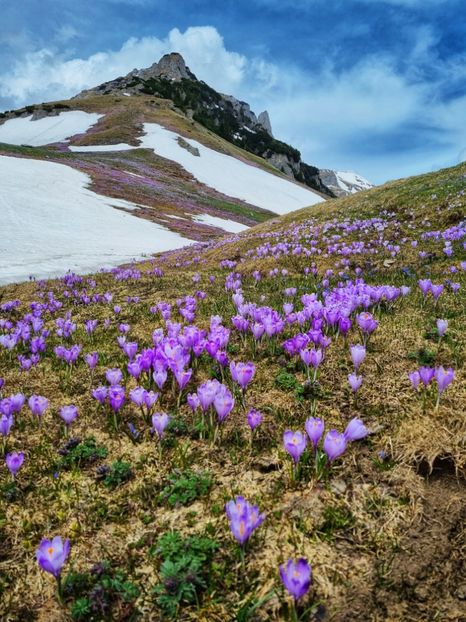  - 25 Valea Cocorei - mai 2022